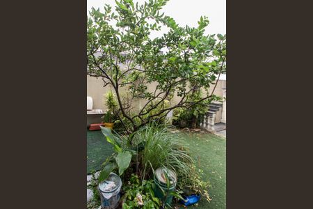 Casa à venda com 400m², 3 quartos e 5 vagasJardim