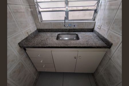 Cozinha - Armários de casa para alugar com 2 quartos, 70m² em Parque Bristol, São Paulo