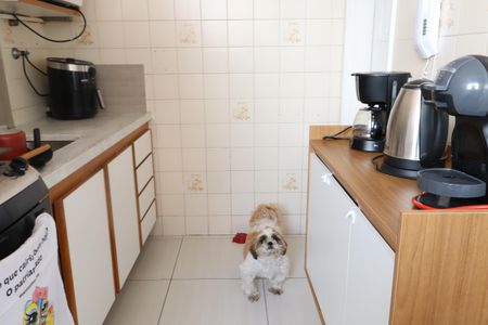 Apartamento para alugar com 47m², 2 quartos e 1 vagaCozinha