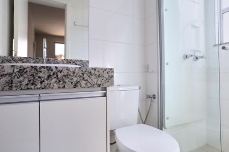 Banheiro da Suíte de apartamento para alugar com 2 quartos, 56m² em São Lucas, Belo Horizonte