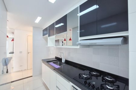 Apartamento para alugar com 55m², 2 quartos e 1 vagaCozinha - Armários