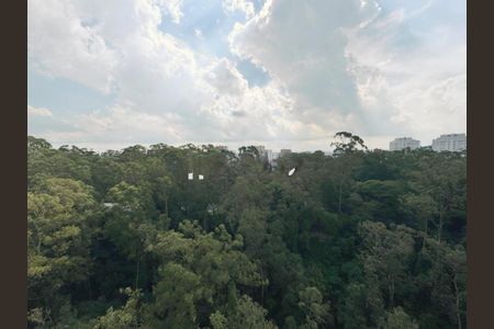 Apartamento à venda com 260m², 3 quartos e 4 vagasFoto 42