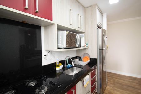 Apartamento para alugar com 50m², 2 quartos e 1 vagaCozinha - Armários