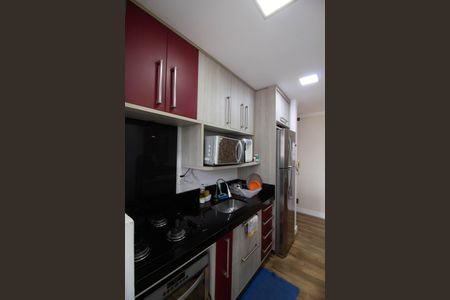 Apartamento para alugar com 50m², 2 quartos e 1 vagaCozinha - Armários