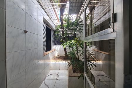 Casa para alugar com 500m², 5 quartos e sem vaga Casa para alugar com 500m², 5 quartos e sem vagaSala - Jardim de inverno
