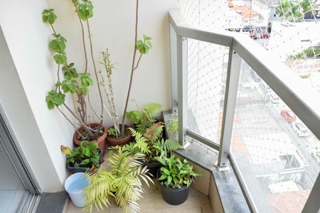 Varanda de apartamento para alugar com 3 quartos, 64m² em Vila Nova Manchester, São Paulo