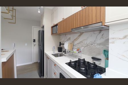 Apartamento para alugar com 52m², 2 quartos e 1 vagaCozinha - Armários / Área de serviço