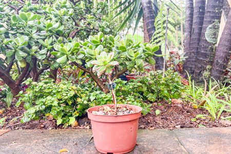 Apartamento à venda com 60m², 3 quartos e 1 vagaÁrea comum