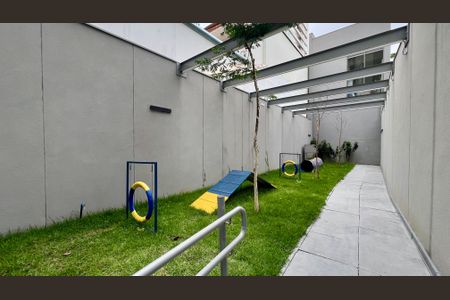 Studio para alugar com 25m², 1 quarto e sem vagaPetplace 