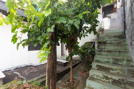 Casa para alugar com 200m², 3 quartos e 3 vagas Casa para alugar com 200m², 3 quartos e 3 vagasÁrea Externa