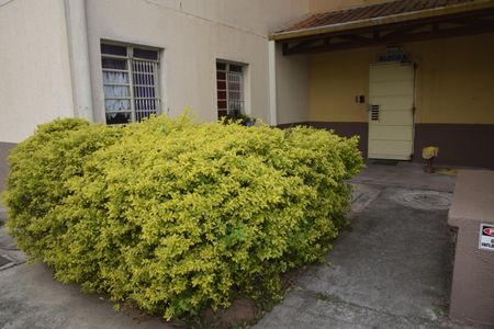 Apartamento para alugar com 58m², 2 quartos e 1 vagaÁrea comum
