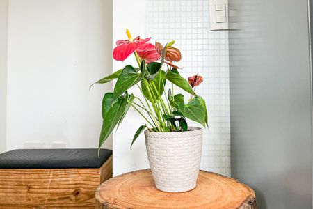 Apartamento para alugar com 70m², 2 quartos e 2 vagasCozinha