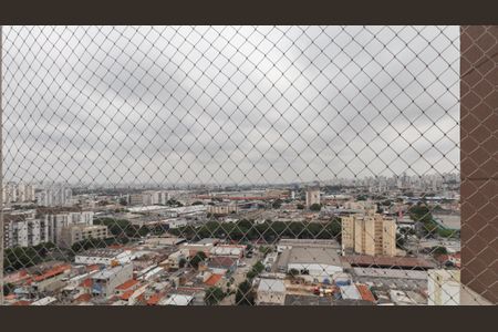 Vista da Varanda da Sala de apartamento à venda com 3 quartos, 79m² em Carandiru, São Paulo