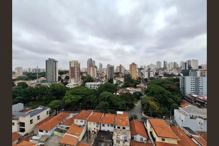 Studio para alugar com 33m², 1 quarto e sem vagaVista