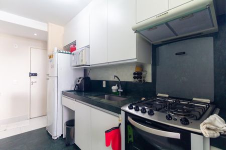 Cozinha de apartamento para alugar com 2 quartos, 55m² em Vila Ivone, São Paulo