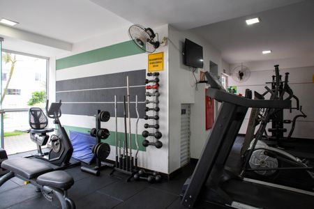 Apartamento à venda com 54m², 2 quartos e 1 vagaÁrea comum - Academia