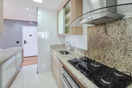 Apartamento à venda com 65m², 3 quartos e 1 vagaCozinha - Armários