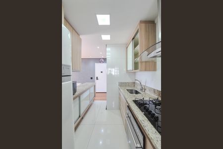 Apartamento à venda com 65m², 3 quartos e 1 vagaCozinha - Armários