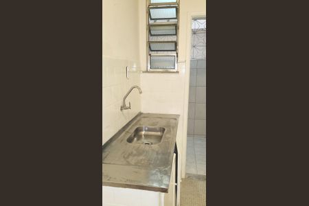 Cozinha de apartamento para alugar com 3 quartos, 100m² em Laranjeiras, Rio de Janeiro