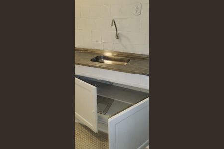 Cozinha de apartamento para alugar com 3 quartos, 100m² em Laranjeiras, Rio de Janeiro