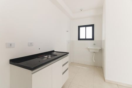 Apartamento para alugar com 48m², 2 quartos e sem vagaCozinha 