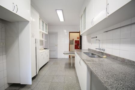 Apartamento para alugar com 186m², 4 quartos e 3 vagasCozinha - Armários