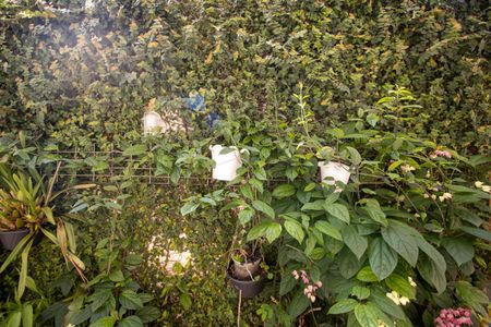 Apartamento à venda com 109m², 2 quartos e 1 vagaVista Suíte 