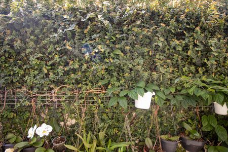 Apartamento à venda com 109m², 2 quartos e 1 vagaVista Quarto 