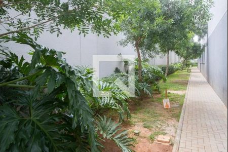 Apartamento para alugar com 72m², 3 quartos e 2 vagasÁrea verde