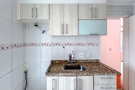 Apartamento para alugar com 48m², 2 quartos e 1 vagaCozinha - Armários