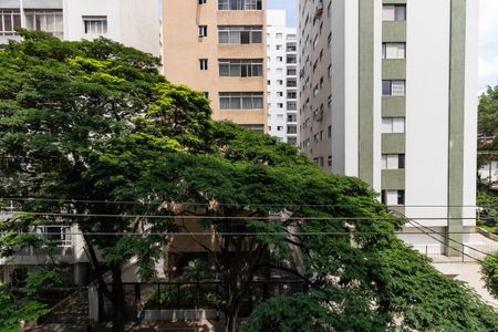Apartamento para alugar com 29m², 1 quarto e sem vagaVista da Varanda