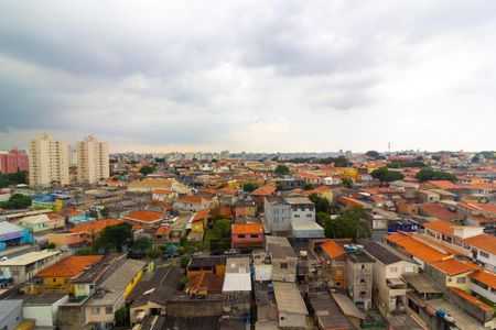 Vista Sala de apartamento para alugar com 2 quartos, 37m² em Vila Inglesa, São Paulo