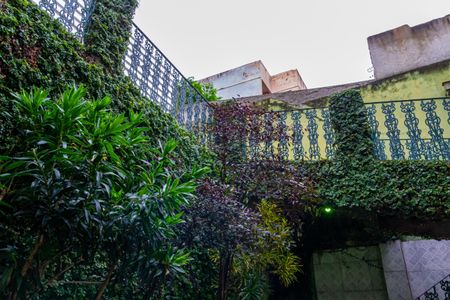 Casa para alugar com 185m², 3 quartos e 1 vagaQuintal