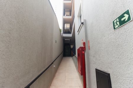 Apartamento para alugar com 40m², 2 quartos e sem vaga Apartamento para alugar com 40m², 2 quartos e sem vagaEntrada