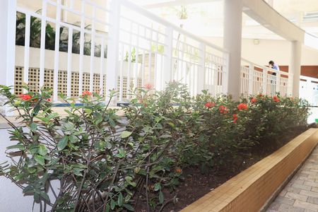 Apartamento à venda com 50m², 1 quarto e 1 vagaÁrea Comum