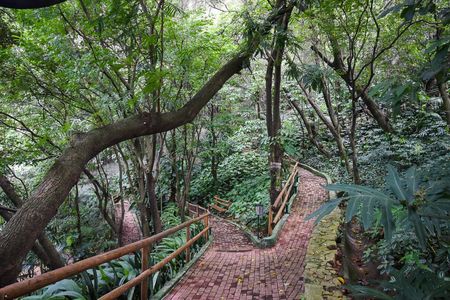 Apartamento para alugar com 185m², 3 quartos e 3 vagasBosque