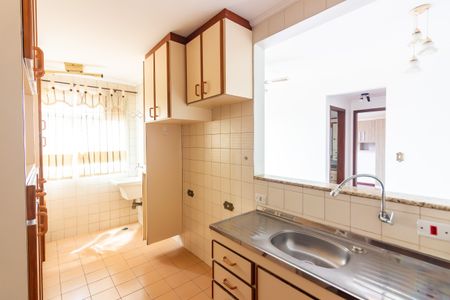 Apartamento para alugar com 43m², 2 quartos e 1 vagaCozinha 