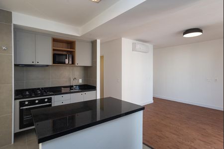 Cozinha Americana de apartamento para alugar com 2 quartos, 75m² em Jardim Vera Cruz, São Paulo