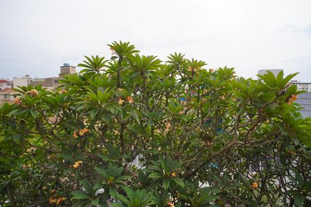 Apartamento para alugar com 136m², 3 quartos e 1 vagaQuarto suite._Vista