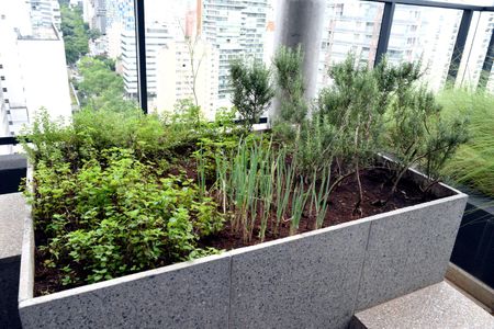 Apartamento para alugar com 45m², 1 quarto e 1 vagaÁrea comum