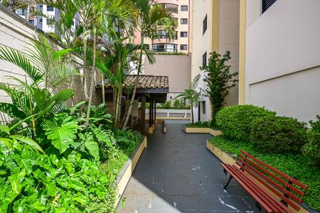 Apartamento para alugar com 75m², 3 quartos e 1 vagaChurrasqueira