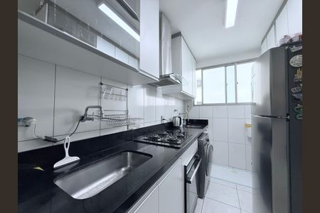 Apartamento à venda com 2 quartos, 55m² em Castelo, Belo Horizonte