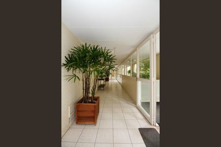 Apartamento à venda com 110m², 2 quartos e 1 vaga Apartamento à venda com 110m², 2 quartos e 1 vagaHall Social