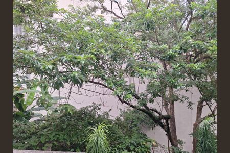 Vista Quarto 1 de apartamento à venda com 2 quartos, 37m² em Santana, São Paulo