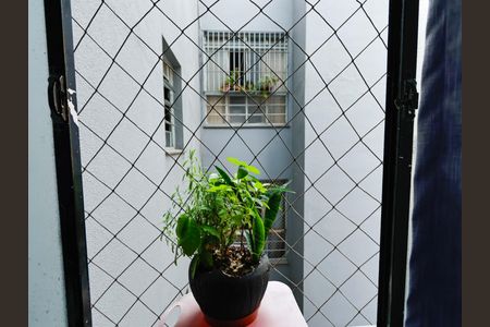 Apartamento à venda com 2 quartos, 49m² em Jardim Montanhês, Belo Horizonte