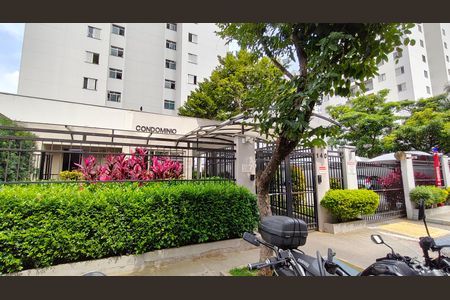 Apartamento para alugar com 55m², 2 quartos e 1 vaga