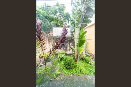 Casa à venda com 250m², 3 quartos e 2 vagas Casa à venda com 250m², 3 quartos e 2 vagasJardim