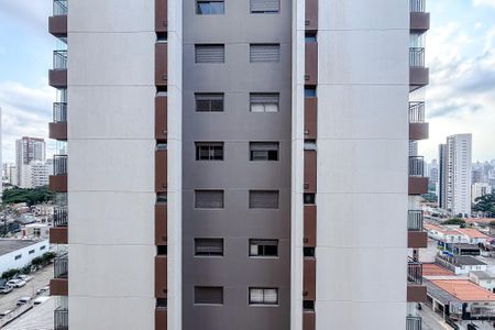 Vista de kitnet/studio para alugar com 1 quarto, 24m² em Cursino, São Paulo