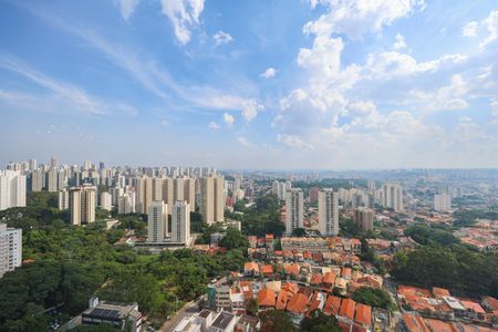 Apartamento à venda com 282m², 4 quartos e 4 vagasVista da Varanda da Sala