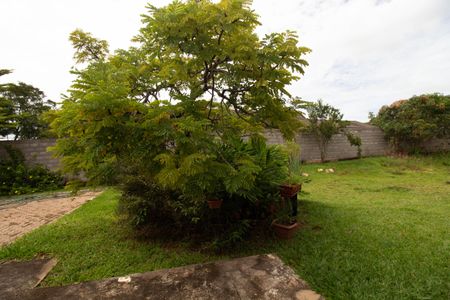 Casa de condomínio para alugar com 250m², 3 quartos e 2 vagasQuintal